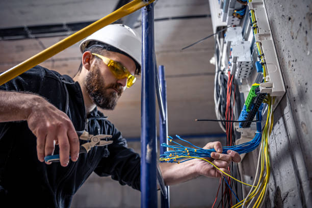 Best Electric Panel Repair  in Harrington, DE